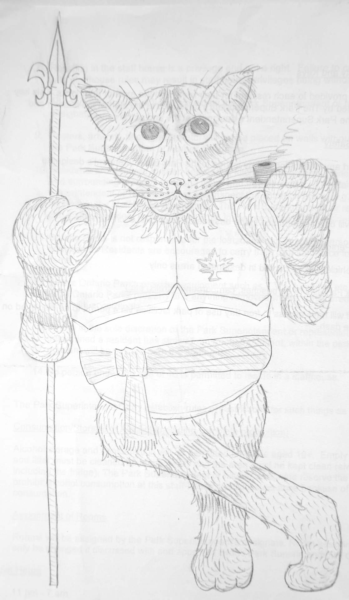 Drawing13