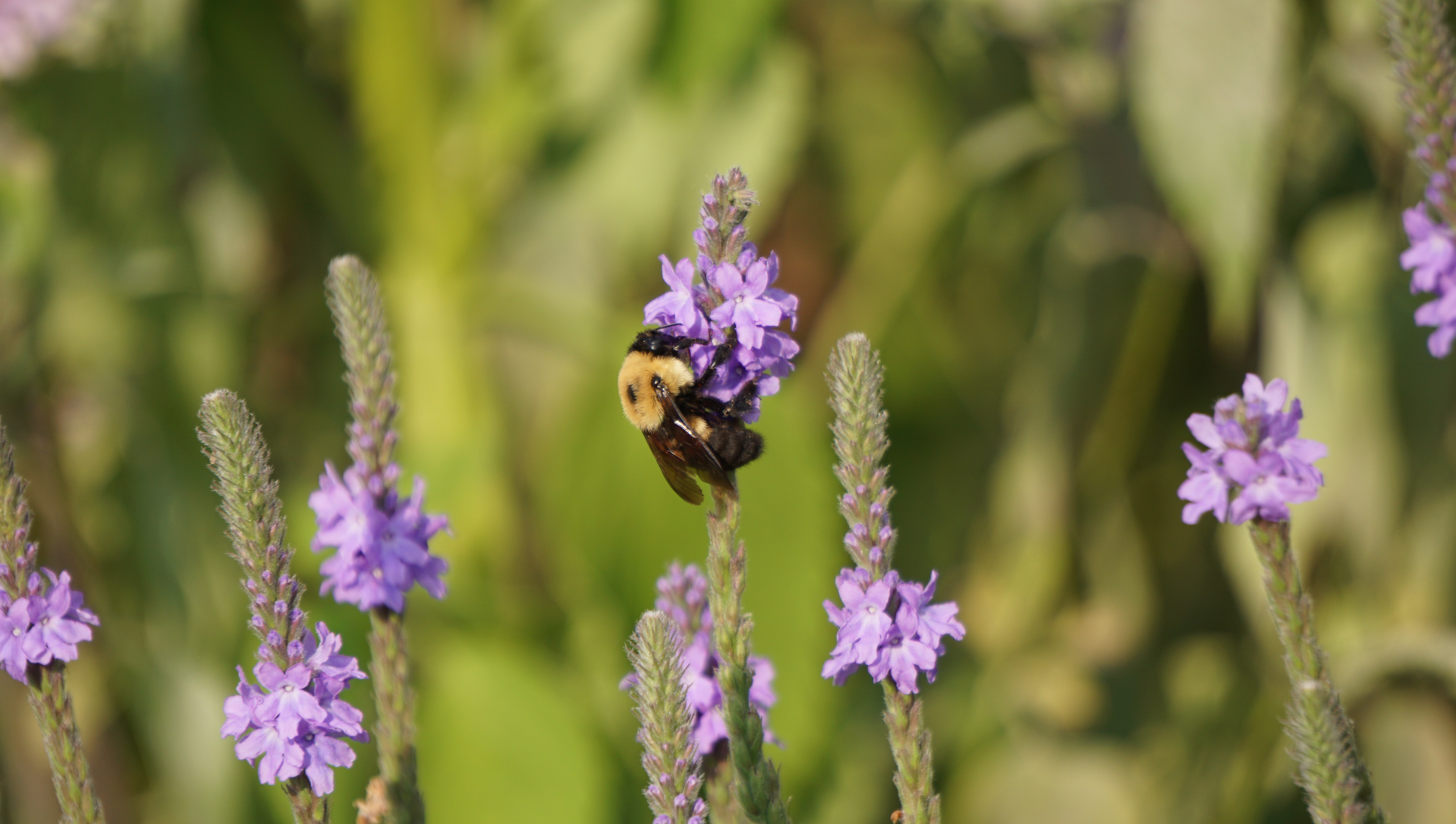 Photo40